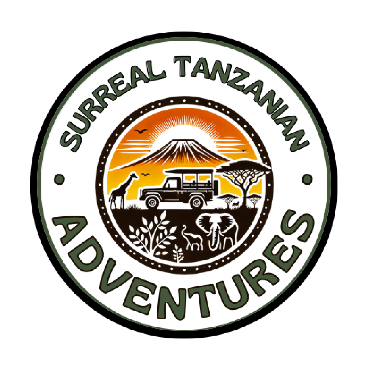 Surreal Tanzanian Safaris